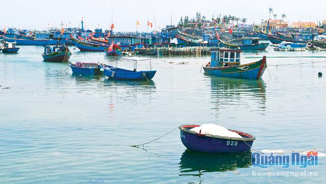 Hạ tầng nghề cá đầu tư thiếu đồng bộ, ảnh hưởng đến hiệu quả phát triển kinh tế biển, đảo.