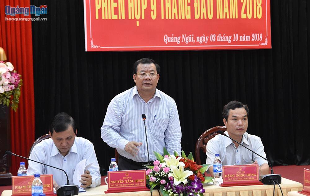 Phó Chủ tịch Thường trực UBND tỉnh Nguyễn Tăng Bính phát biểu tại cuộc họp