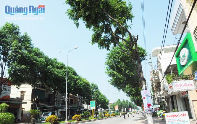  Hàng cây xanh trên tuyến đường Lê Lợi (TP.Quảng Ngãi) bị cắt tỉa không đảm bảo mỹ quan cho đô thị.
