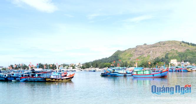 Vũng neo trú tàu thuyền Lý Sơn đã có phương án neo đậu tàu thuyền trong mùa mưa bão 2018.