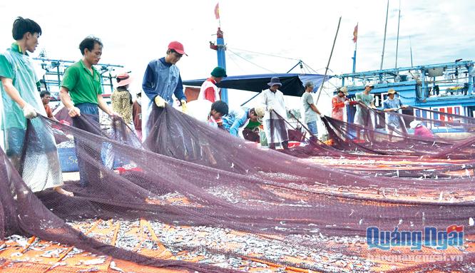 Ngư dân huyện Lý Sơn cần nhiều chính sách hỗ trợ để an tâm bám biển làm ăn.