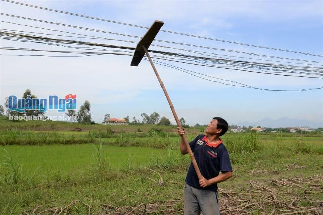 Hệ thống đường dây cũ kĩ, chạy thấp gần mặt đất luôn chực chờ nguy hiểm