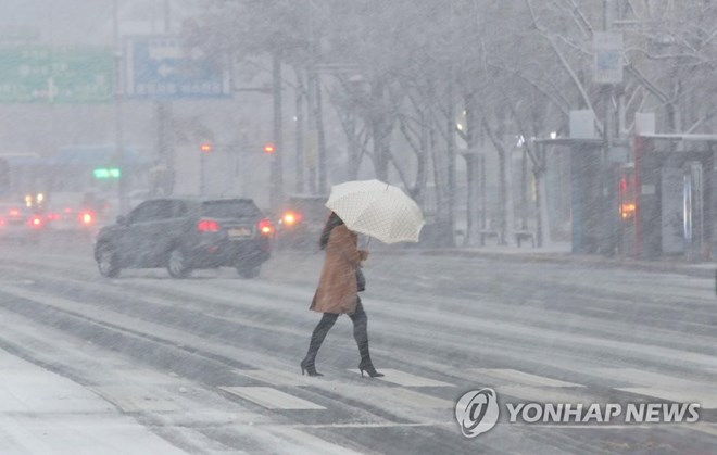  Tuyết rơi dày ở Seoul. (Nguồn: Yonhap)