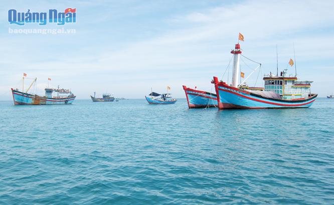 Nhiều tàu cá của ngư dân trong tỉnh th