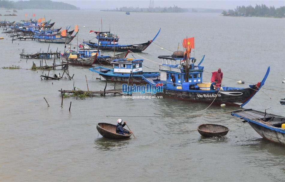 Đã có một trường hợp mất tích trên sông Trà Bồng, đoạn qua xã Bình Đông