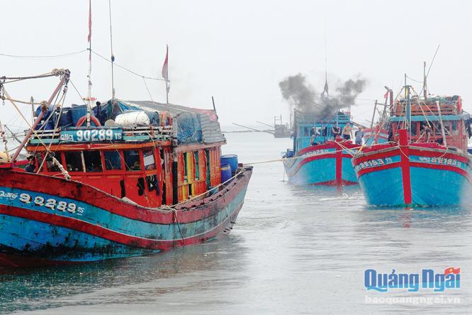 Tàu QNg-90289TS của ngư dân Bùi Ngọc Lành và tàu QNg-95193TS của ngư dân Phạm Trung Kiên lai dắt tàu ngư dân Võ Văn Lựu bị nạn từ Hoàng Sa trở về.