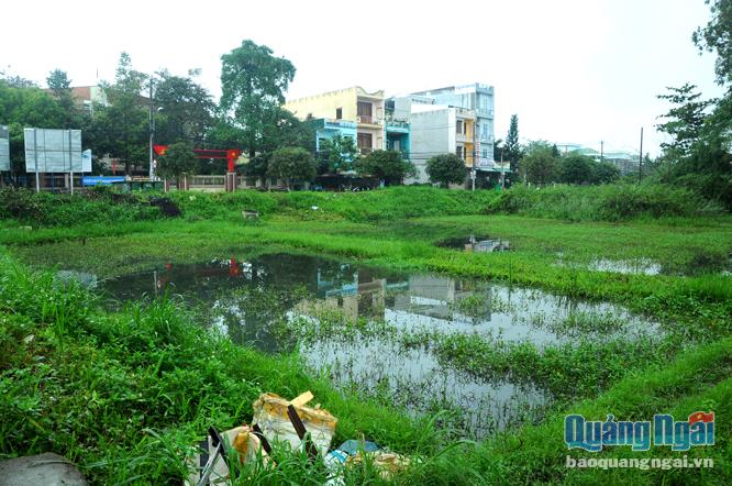 Khu đất dự kiến xây dựng Phân hiệu Trường Đại học Đông Á tại Quảng Ngãi.
