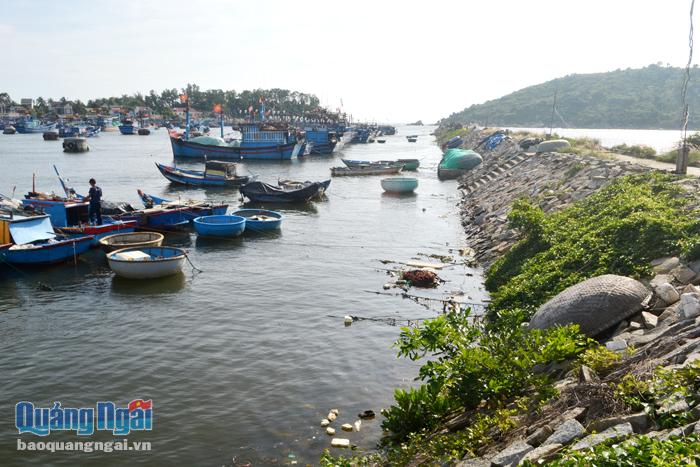  Việc chưa có Văn phòng kiểm soát nghề cá tại các cảng cá ở huyện là một trong những nguyên nhân khiến việc kiểm soát nghề cá chưa đạt theo khuyến nghị của EC. Trong ảnh: Tàu neo đậu tại cảng Mỹ Á.