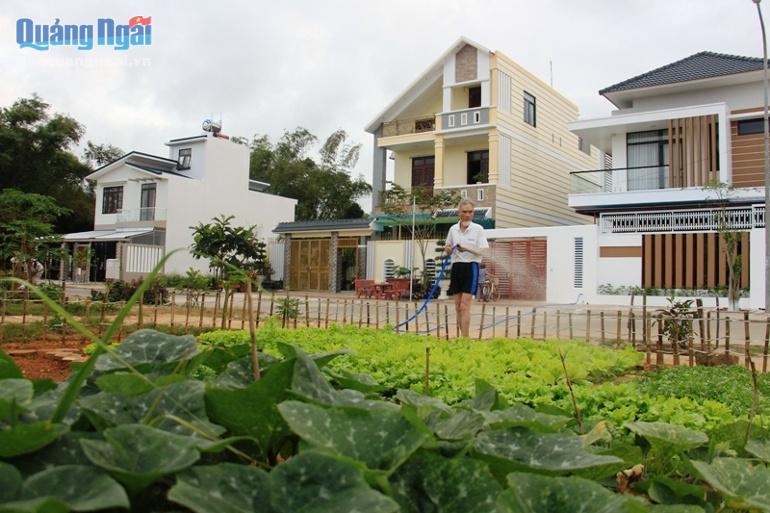 Với các cụ hưu trí ở phố, trồng rau không chỉ có nguồn rau sạch, ngon để gia đình ăn Tết mà còn có cơ hội vận động tay chân, tạo cảnh quan cho khu phố.