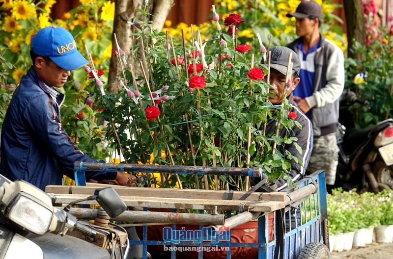 Dù vất vả, mệt nhọc, nhưng bù lại nghề chở hoa thuê mang lại nguồn thu nhập cao cho những lao động nghèo dịp Tết