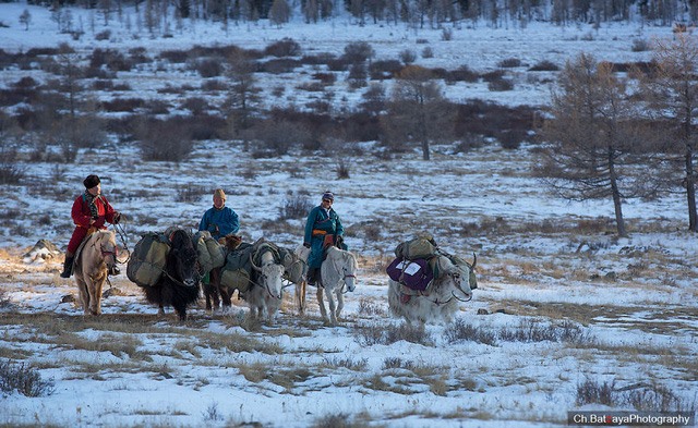  Tuyết phủ kín khắp mọi nơi trên đất nước Mông Cổ khi bước vào mùa đông. Ảnh minh họa.