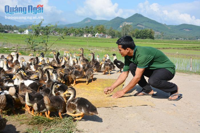 Nhờ số tiền mượn được từ “Tổ góp vốn quay vòng”, anh Huỳnh Tấn Linh đã đầu tư  nuôi vịt.