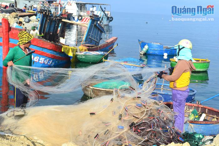  Cần có giải pháp chấn chỉnh tình trạng ngư dân sử dụng lưới có kích thước mắt lưới nhỏ, không đúng quy định để khai thác thủy sản.