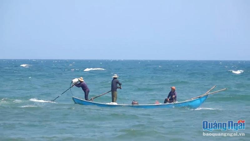 Vào mùa ốc, ngư dân chuyển đổi nghề đánh bắt hải sản ven bờ sang cào ốc gạo
