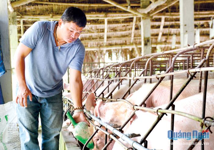 Từ ý tưởng khởi nghiệp với việc chăn nuôi heo, gà, sắp tới anh Trương Văn Hiền sẽ tiến hành khởi nghiệp với mô hình trồng rau sạch để cung ứng cho thị trường.