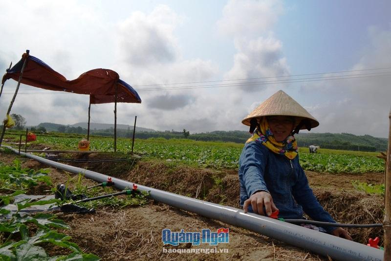 Chị Nguyễn Thị Bé ở thôn An Quang, xã Bình Thanh Tây (Bình Sơn) bên hệ thống nước tưới nhỏ giọt của gia đình.