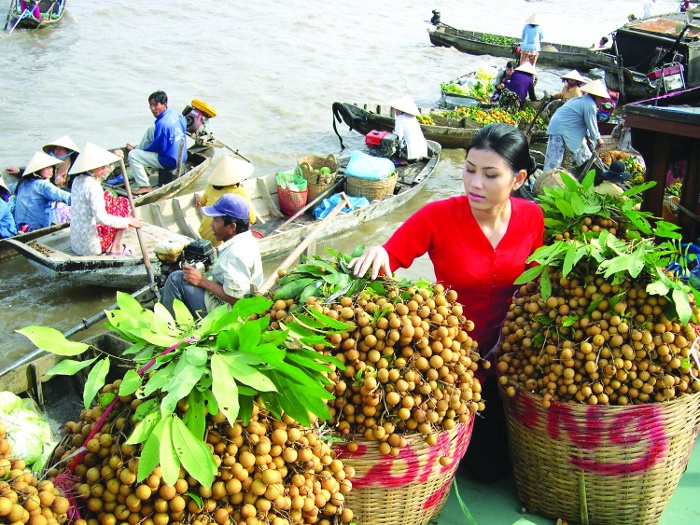 Hiện Việt Nam mới có 8 loại trái cây nhập khẩu chính ngạch vào Trung Quốc, trong đó có nhãn.
