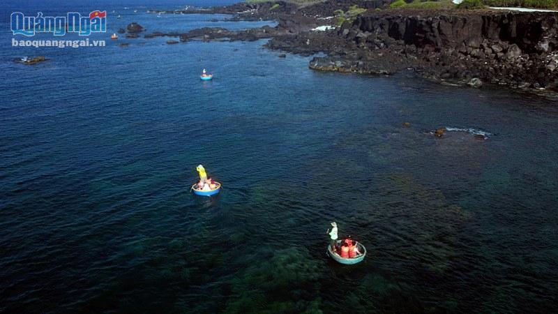 Người dân Lý Sơn chèo thúng đưa du khách lặn ngắm san hô quanh đảo. 
