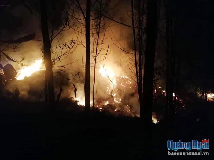 Hiện trường vụ cháy rừng ở xã Bình Nguyên