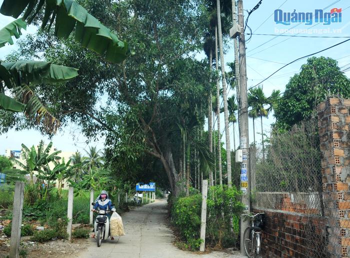 Hẻm phố ở phường Trần Phú vẫn chưa được đầu tư điện chiếu sáng công cộng.
