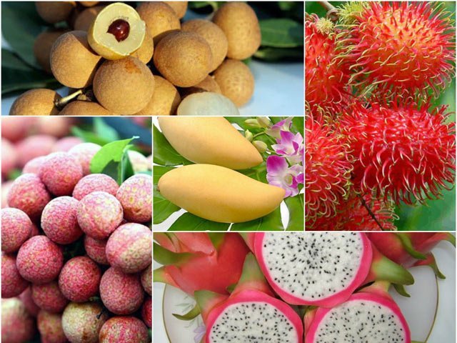 6 loại trái cây được chính thức cấp phép xuất khẩu sang thị trường Mỹ