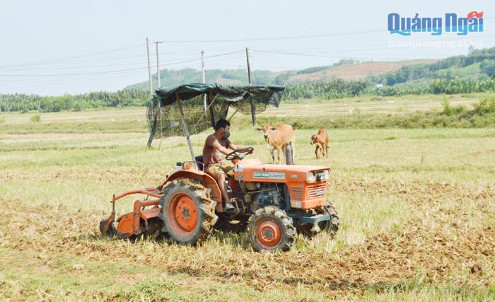  Dồn điền đổi thửa sẽ giúp nông dân xã Bình Phước (Bình Sơn) áp dụng cơ giới hóa trong sản xuất nông nghiệp.