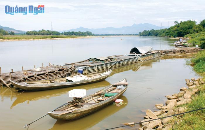  Làng nuôi cá lồng bè trên sông Trà Khúc,  đoạn qua thôn Phước Lộc Tây, xã Tịnh Sơn (Sơn Tịnh).