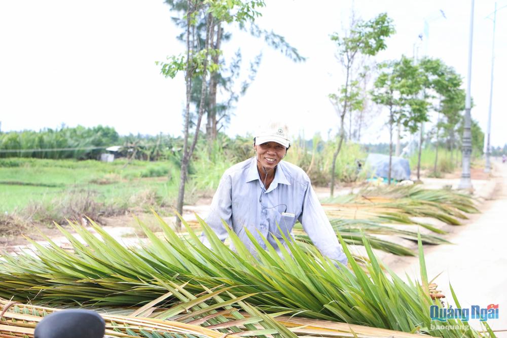Người dân Tịnh Khê thu hoạch bẹ dừa, phơi khô.