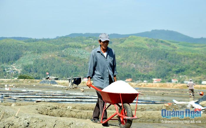 Ông Nguyễn Tấn Hồng, thôn Tân Diêm, xã Phổ Thạnh (Đức Phổ) đã gắn bó với nghề làm muối hơn 30 năm.