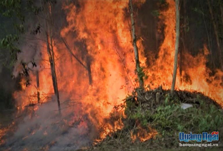 Thời tiết nắng nóng kéo dài đã khiến cho nguy cơ cháy rừng ở trên địa bàn tỉnh được cảnh báo ở mức cực kỳ nguy hiểm