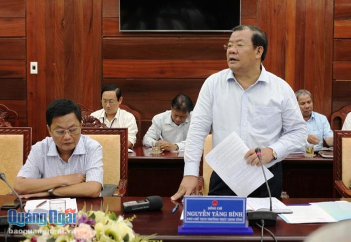 Phó Chủ tịch thường trực UBND tỉnh Nguyễn Tăng Bính cho ý kiến tại cuộc họp.