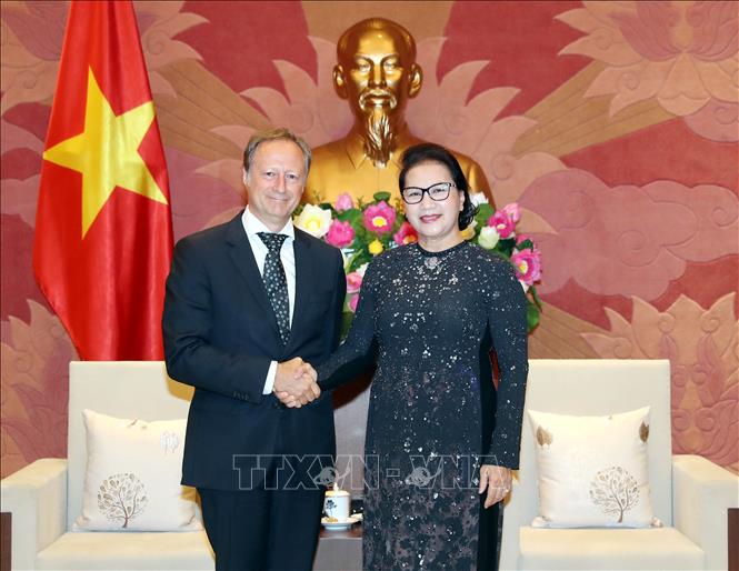 Chủ tịch Quốc hội Nguyễn Thị Kim Ngân tiếp Đại sứ, Trưởng phái đoàn EU tại Việt Nam, ông Bruno Angetlet. Ảnh: TTXVN