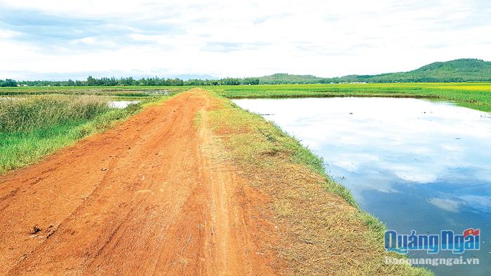 Công trình kiên cố kênh mương tại đồng Xuân An, thôn Châu Me, xã Bình Châu (Bình Sơn) vẫn chưa triển khai.  Ảnh: Ý THU