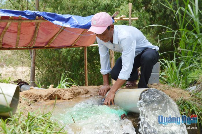 Người dân xã Bình Minh (Bình Sơn) đang nỗ lực chống hạn nhờ bơm nước từ sông Trà Bồng.