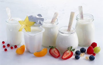  Sữa chua là đồ ăn có chứa Lactobacillus bổ sung vi sinh vật sống, vitamin và khoáng chất có lợi cho cơ thể.
