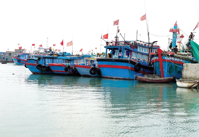 Vũng neo đậu tàu thuyền quá tải là một trong những nỗi lo của ngư dân trong tỉnh mỗi khi bước vào mùa mưa bão.