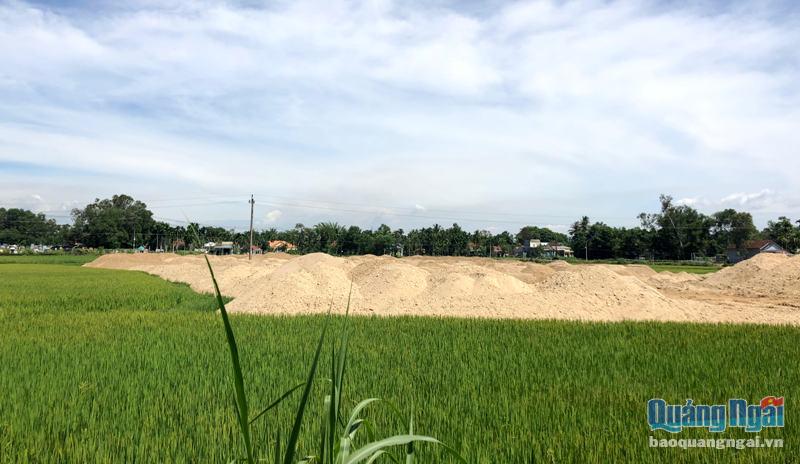 Doanh nghiệp đổ đất san lấp mặt bằng vây ruộng lúa của dân