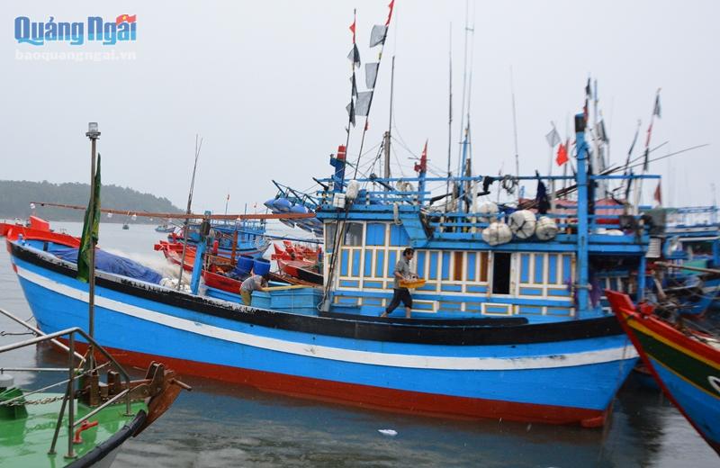 Hiện còn gần 500 tàu cá của tỉnh đang hoạt động trên các vùng biển.