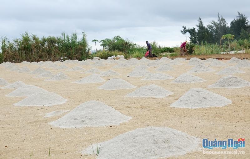 Tập quán canh tác thay lớp đất mặt hàng năm nên khiên cho huyện Lý Sơn gặp khó trong việc xử lý lượng đất thải 