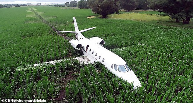 Máy bay hạ cánh khẩn cấp xuống cánh đồng ngô (Ảnh: CEN)