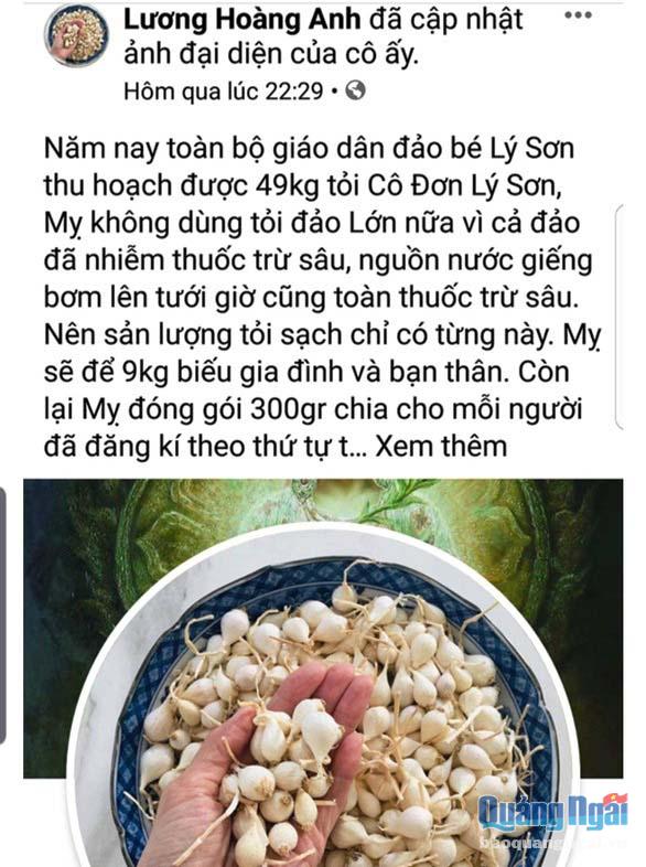 facebook Lương Hoàng Anh thông tin thất thiệt về tỏi Lý Sơn