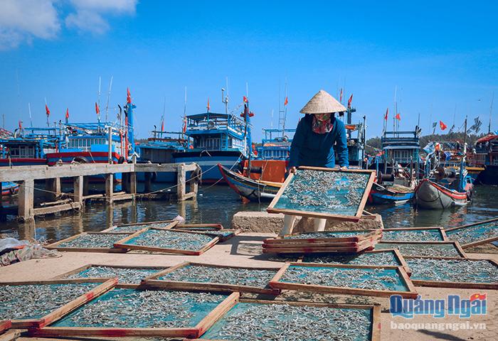 Hiện xã Tịnh Kỳ có 20 cơ sở sản xuất cá cơm khô lớn, nhỏ. Mỗi cơ sở giải quyết được việc làm cho 10 – 20 lao động với mức thu nhập từ 200.000 đồng – 350.000 đồng mỗi ngày.