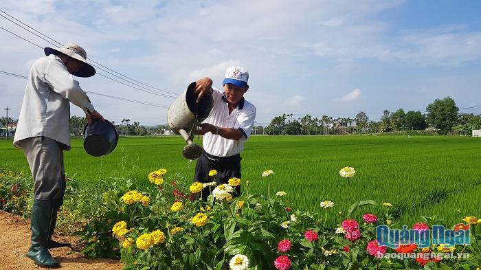 Người làng Phước Hội Tây cùng chung tay chăm sóc, bảo vệ rau và hoa mỗi ngày