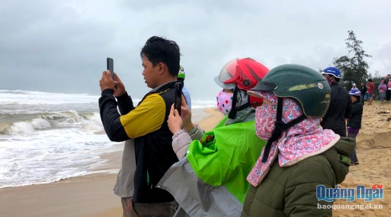 Người dân dùng điện thoại để ghi lại hình ảnh cá voi