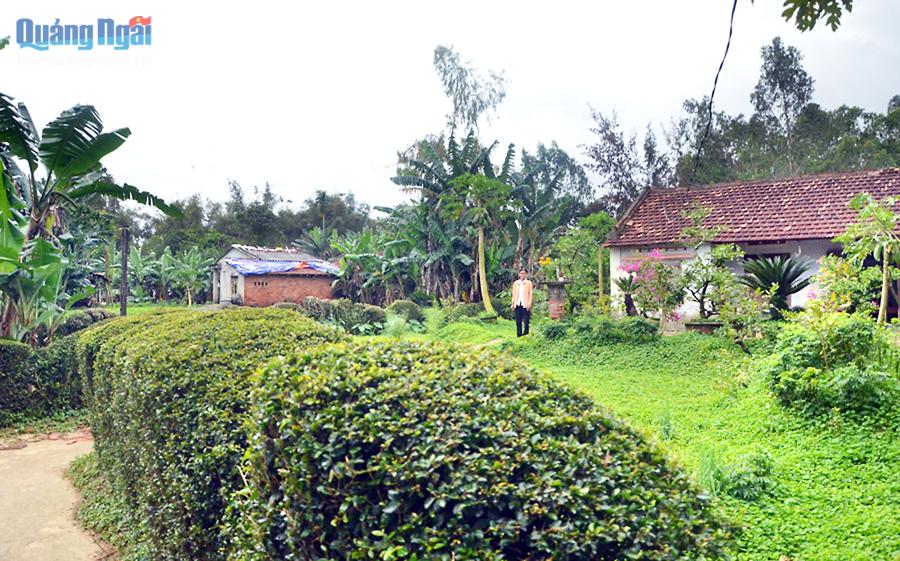  Vườn rau xanh ngát bên ngôi nhà đơn sơ, hàng rào được cắt tỉa gọn gàng tái hiện khung cảnh làng quê Việt xưa cũ.