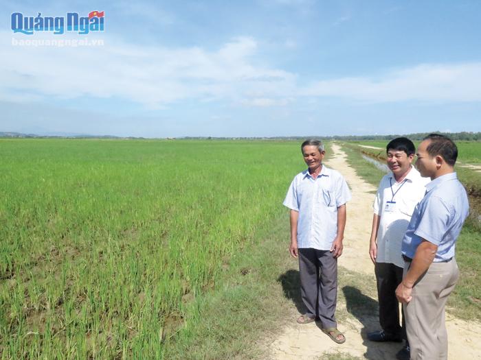  Chủ tịch UBND xã Phổ An (thị xã Đức Phổ) Nguyễn Tấn Mỹ (giữa) thường xuyên thăm hỏi, trò chuyện với người dân về tình hình sản xuất, phát triển kinh tế.      
