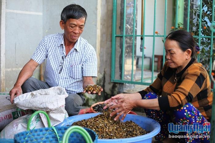 Vợ chồng ông Ưu đã có 50 năm gắn bó với nghề thu mua, bán don.