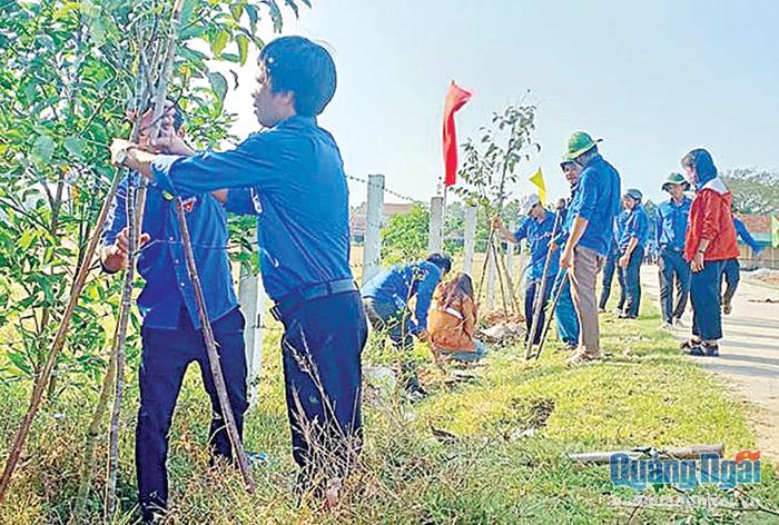 Thanh niên huyện Mộ Đức trồng cây xanh tại tuyến đường trung tâm huyện. 