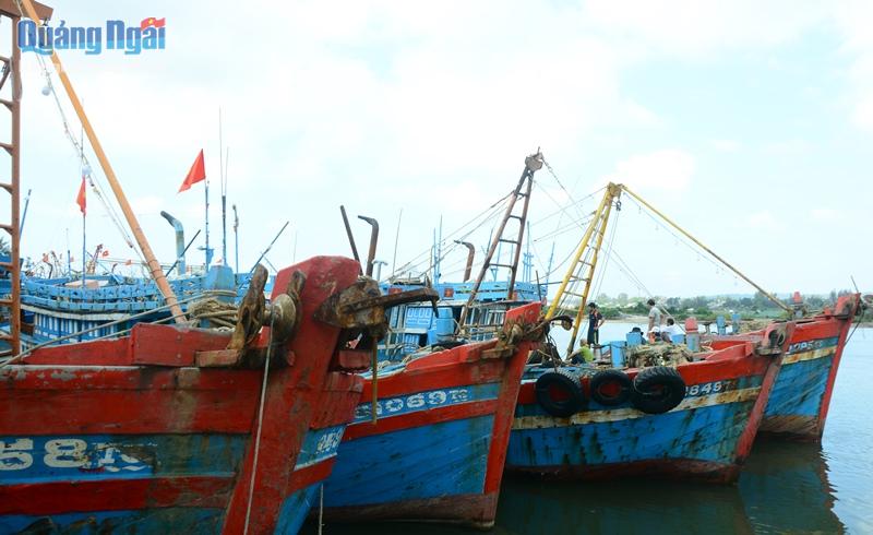 Toàn tỉnh còn hơn 2.500 tàu cá chưa lắp đặt thiết bị.