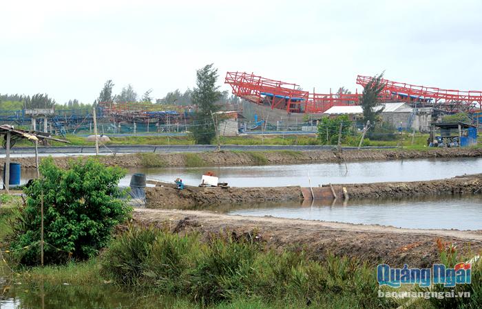 Hồ nuôi tôm ngăn cách với sông Trà Bồng bởi các triền đà đóng tàu, khiến thành viên HTX Thủy sản Bình Chánh gặp khó về nguồn nước.